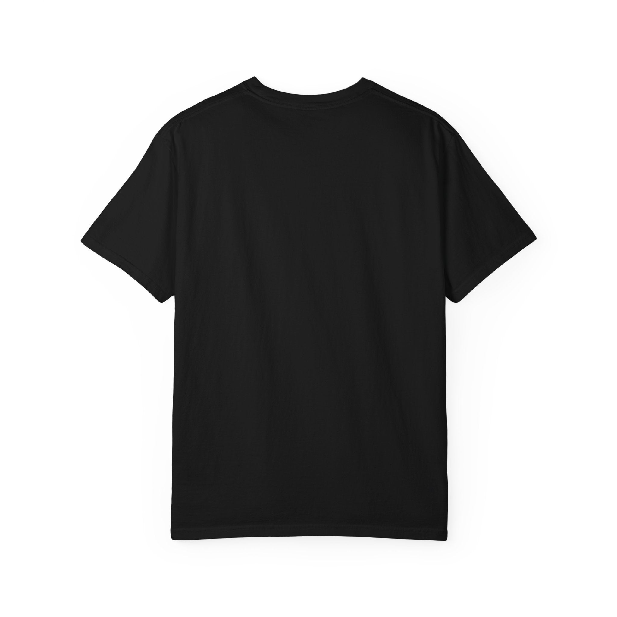 F-35 Lightning II Jet Schematic T-shirt | Military Aircraft Diagram