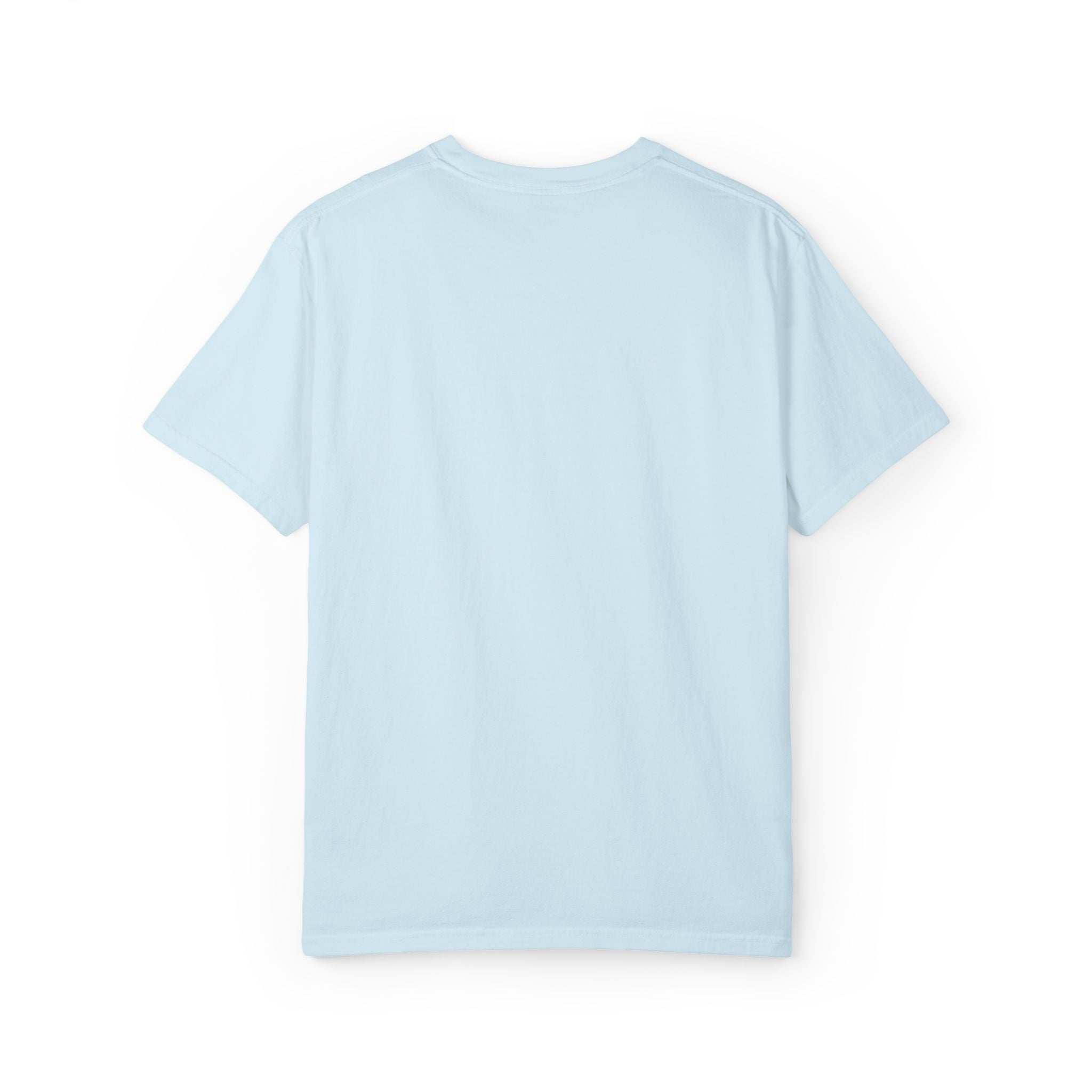 F-35 Lightning II Jet Schematic T-shirt | Military Aircraft Diagram