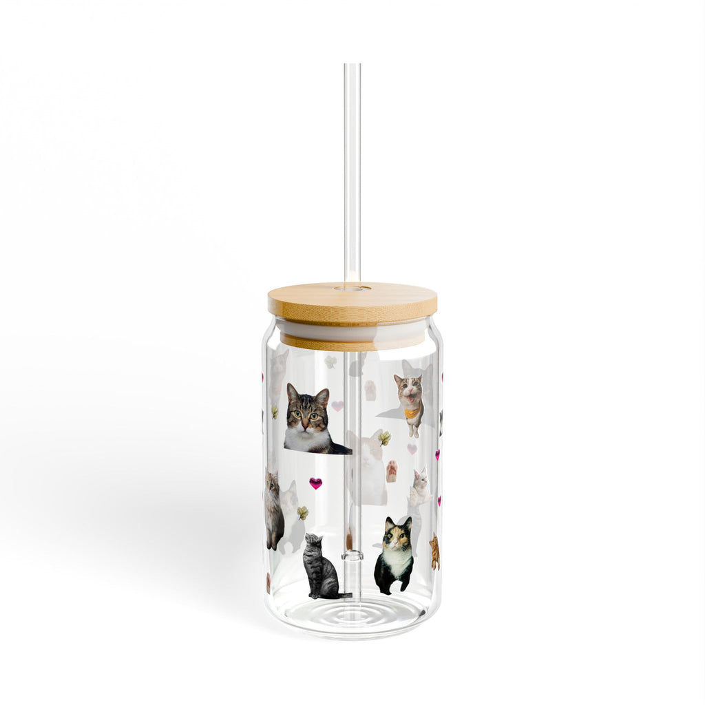 Cat Lover Sipper Glass — 16oz Glass with Cute Kitty Design