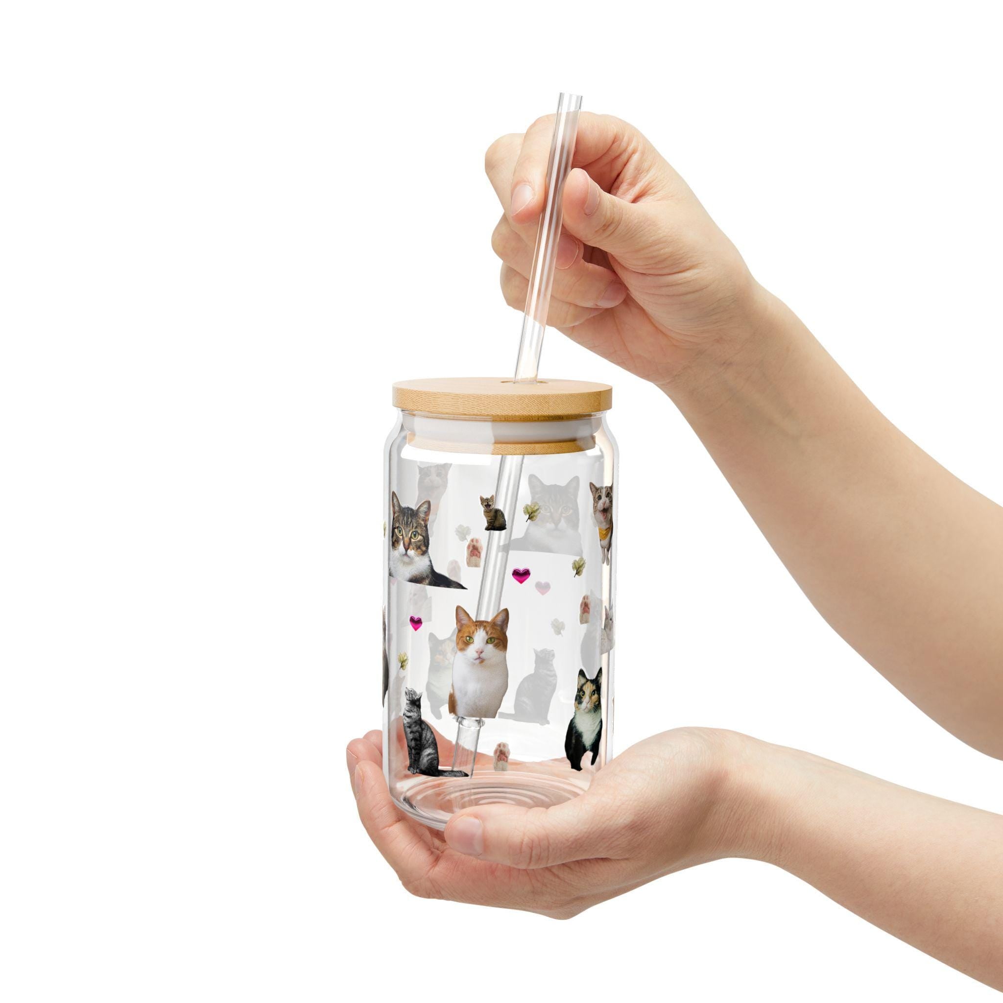 Cat Lover Sipper Glass: 16oz Kitty Parade Tempered Glass with Lid