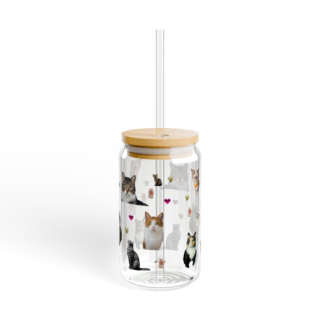 Cat Lover Sipper Glass: 16oz Kitty Parade Tempered Glass with Lid